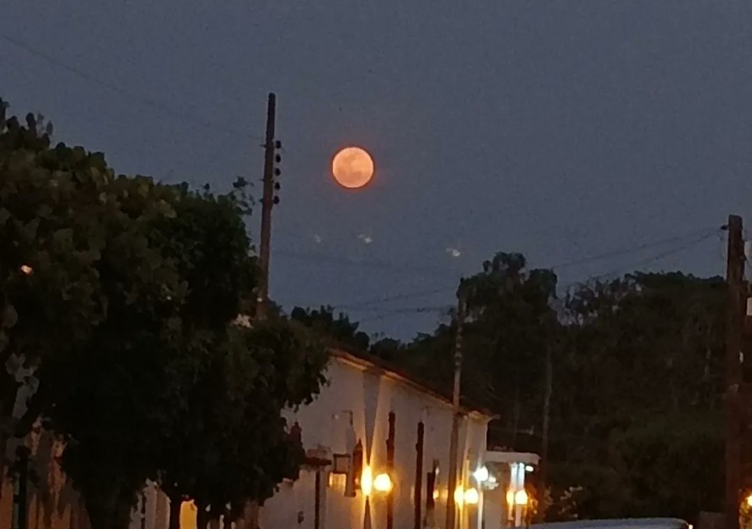 PepeNaranjo1's tweet photo. #Hoy #AlDía #ÚltimaHora #AlMomento #Domingo #15deMayo2022 #Colima #EstadoDeColima #México |🇲🇽 #RepúblicaMexicana #EclipseLunar
#Eclipse

ECLIPSE TOTAL DE LUNA 🌖 https://t.co/ELmVYaOEJB
