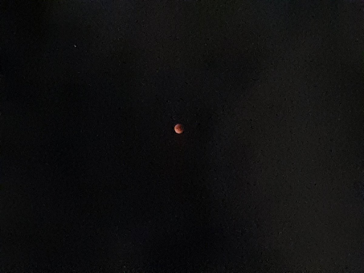 abranfer1's tweet photo. A penas pude enfocar pero ahí esta #eclipseentn #eclipseTN #EclipseLunar https://t.co/WK8DE8nFe8