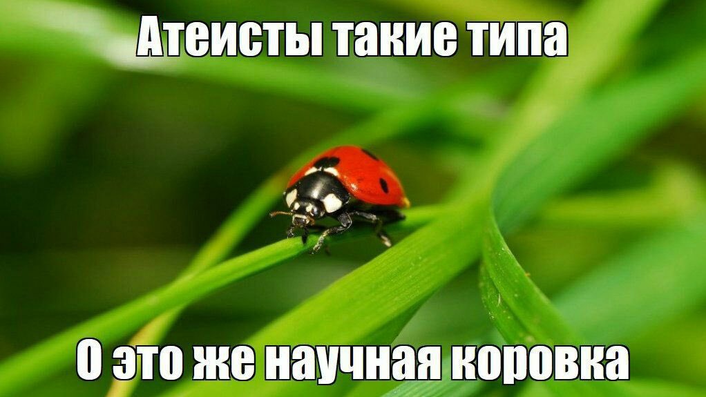 steppentiger's tweet photo. Доброе утро. https://t.co/AUkjybiPP2
