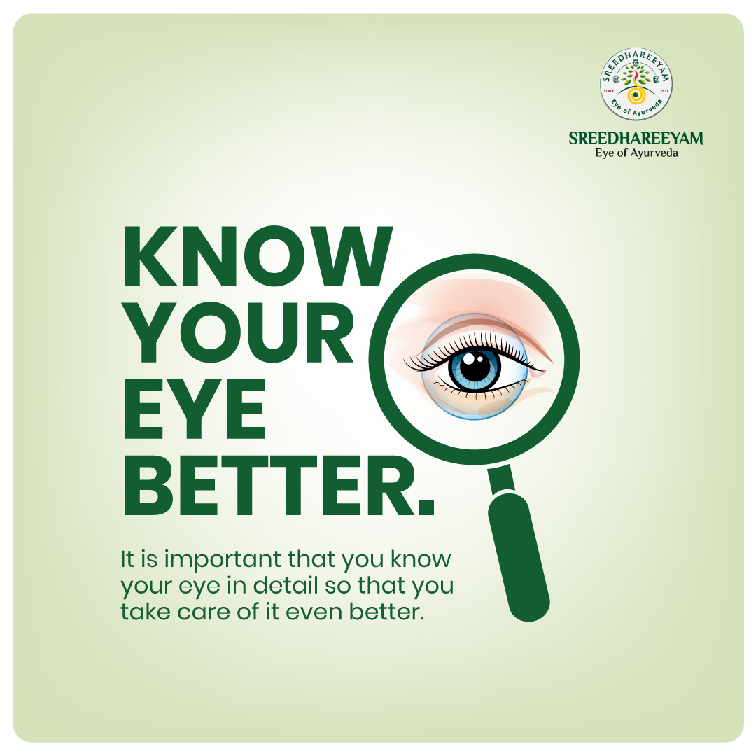 AyurvedicEye's tweet photo. 👁️It is basic that we know everything about our eye, as the vision is what guides us all. 

This #HealthyVisionMonth, get to #KnowYourEye👁️‍🗨️ in detail so that you can take care of it even better.

#Sreedhareeyam #EyeOfAyurveda #Ayurveda #VisionTips   #EyeHealth #EyeCare https://t.co/3ZgXg9u1X6