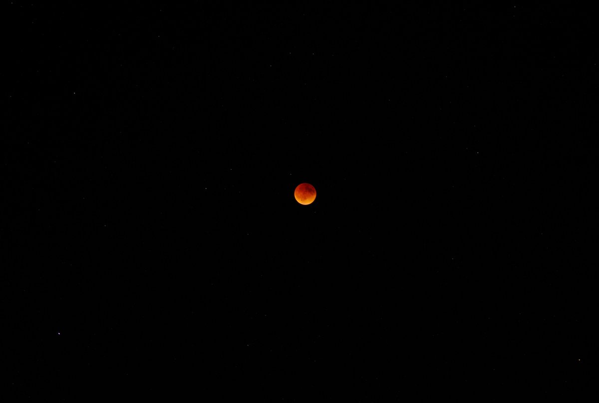 TheDawnVoice's tweet photo. Some photos #moon #eclipse #bloodmoon #MayMoon2022 #EclipseLunar #FlowerMoon #May2022 #ILoveTheMoon https://t.co/mlL2kgIGWB