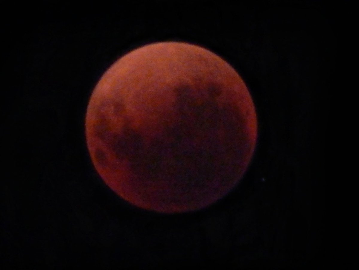 Ana_lia_d's tweet photo. El eclipse lunar #eclipseTN #EclipseLunar #Eclipse #tresdefebrero #pablopodesta https://t.co/Gt3Cco4uMb