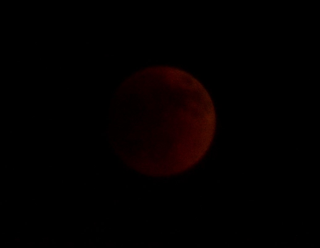 Mr. Shinoshi tweet media