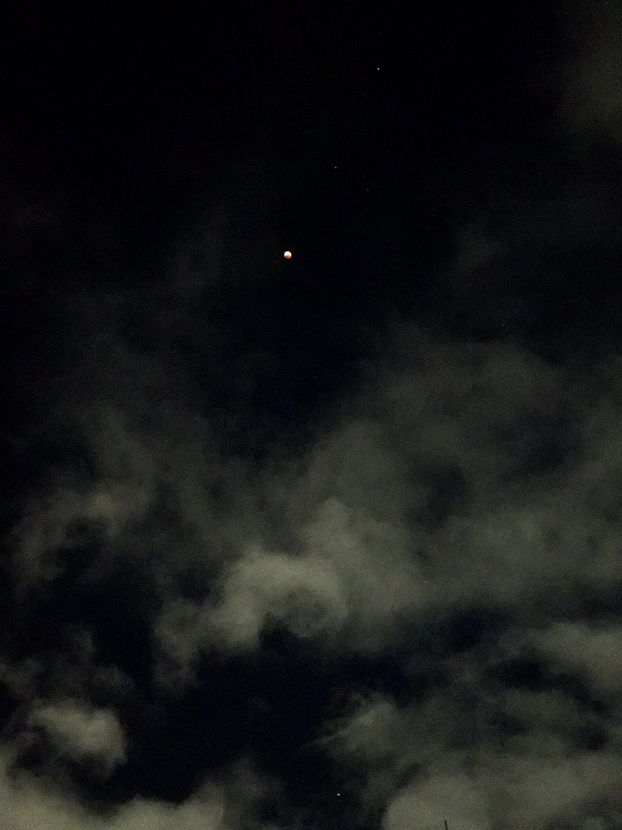 FoliRodriguezT's tweet photo. Tan hermosa 🌖 #Lunaroja #EclipseDeLuna #TN #EclipseLunar #eclipseTN @Josebianco10 @todonoticias #Adrogue https://t.co/bZkRyBOBmj