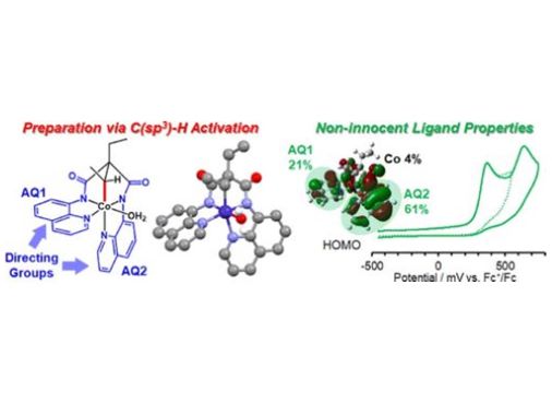 CSJjournals_jp's tweet image. C–H bond activation | Alkyl-cobalt complex | C–N bond reductive elimination
Article by Prof. Masaaki Abe and Dr.Keishiro Tahara @UOH_kohou (University of Hyogo) is available as Open Access
#CHActivation #MetalComplex #Spectroscopy #ElectroChemistry

journal.csj.jp/doi/abs/10.124…