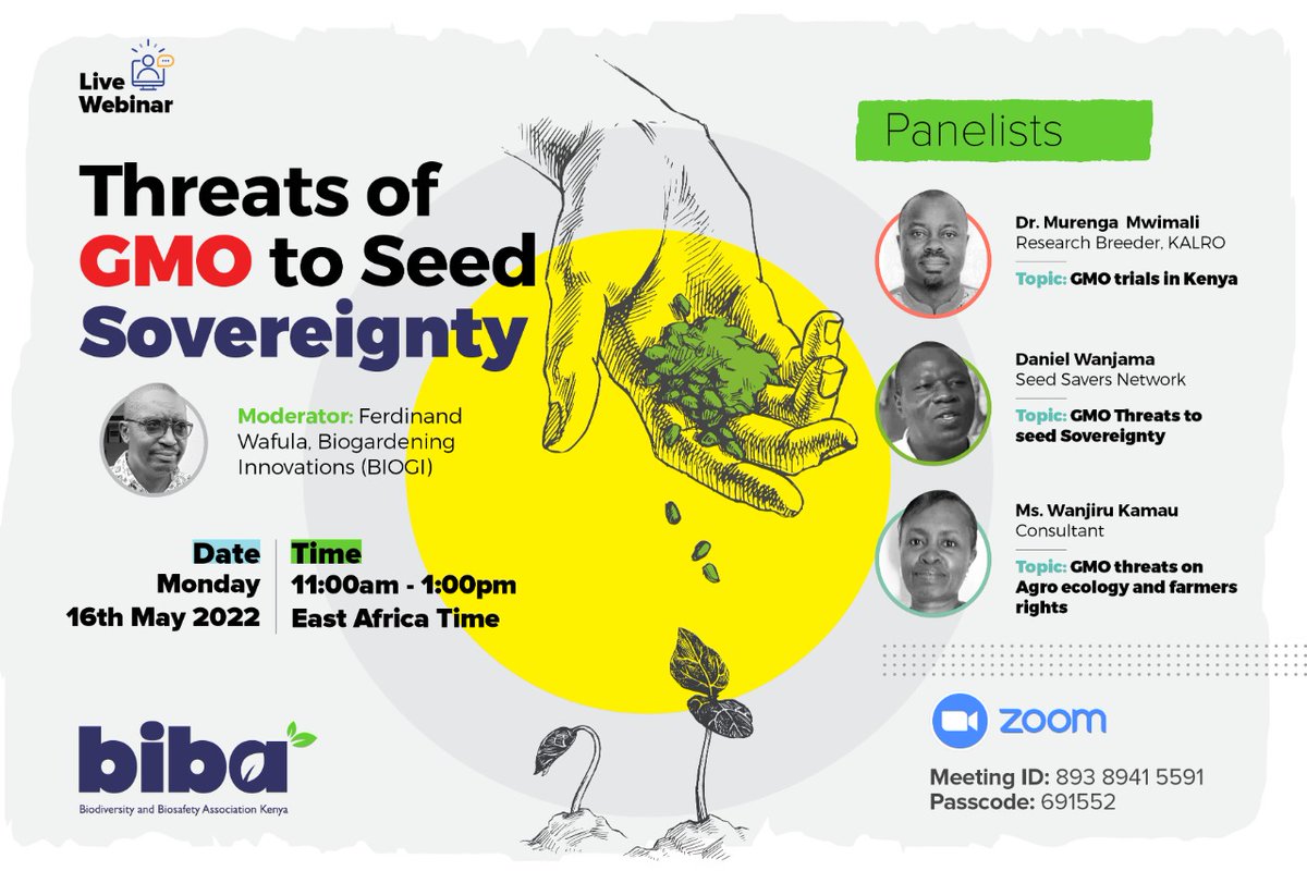 BIBA_Kenya's tweet photo. Join us today 16th Mayfor a live webinar at 11am-1pm EAT .We will be holding a discussion on the threats of GMO to seed sovereignity. 

To join the zoom meeting use the meeting I.D and passcode on the poster
#KataaGMO
#Seedsovereignty https://t.co/NrxOFycgoz