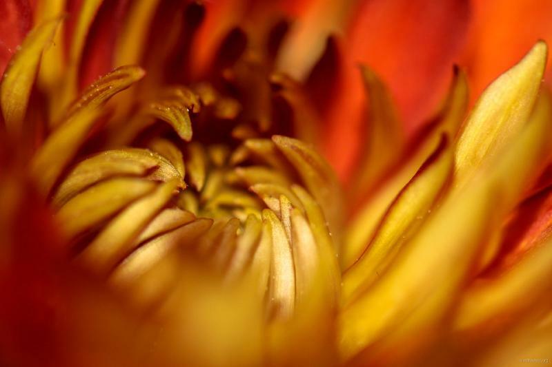 Gareth Lennox tweet media