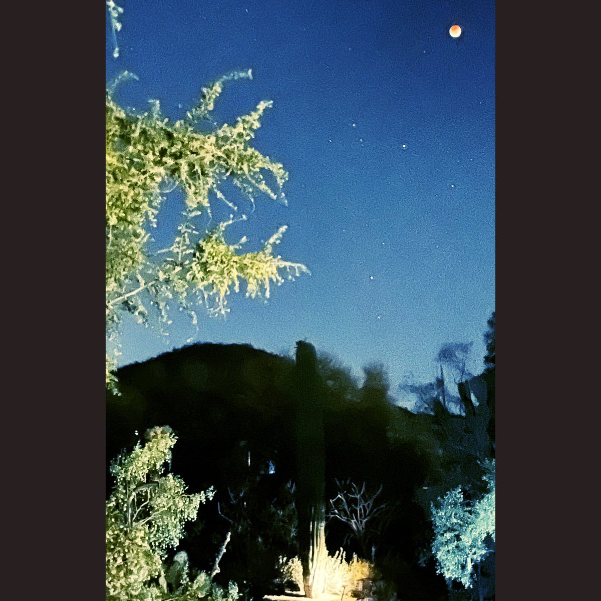 Grania64156311's tweet photo. #BloodMoon #LunarEclipse #SonoranMoon #CactusAndMoon #RedButteTucson #TucsonNights #AirBnB #AirBnBSuperHost https://t.co/jY8PmEPJBk
