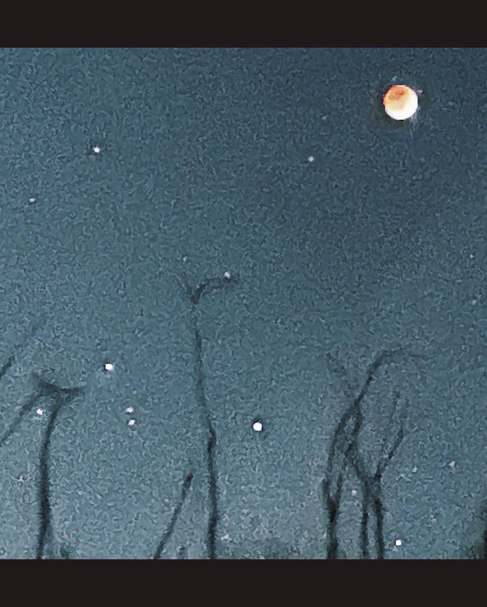 Grania64156311's tweet photo. #BloodMoon #LunarEclipse #SonoranMoon #CactusAndMoon #RedButteTucson #TucsonNights #AirBnB #AirBnBSuperHost https://t.co/jY8PmEPJBk