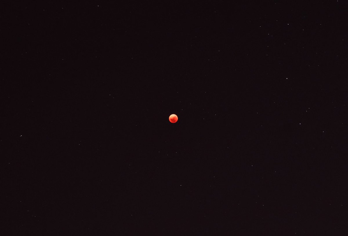 Pollo_BenjaG's tweet photo. Mis fotos del eclipse lunar de hoy.
#EclipseLunar https://t.co/Gk41S8TZ3s