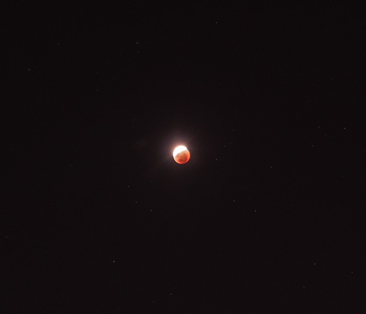 Pollo_BenjaG's tweet photo. Mis fotos del eclipse lunar de hoy.
#EclipseLunar https://t.co/Gk41S8TZ3s