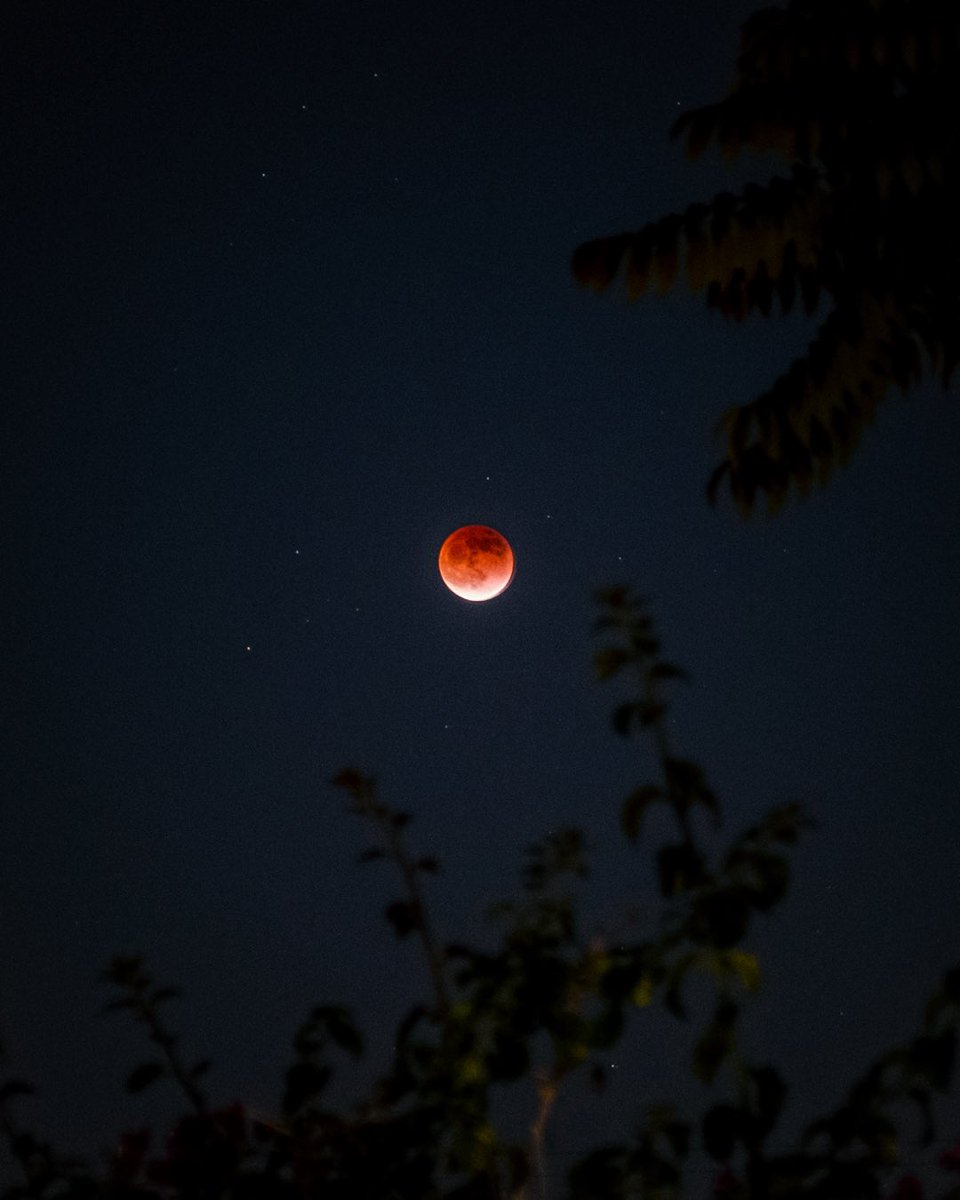 adamhlavac's tweet photo. Shot on 📸 #fujifilm_xseries #BloodMoon https://t.co/oPiHHdR6Pe