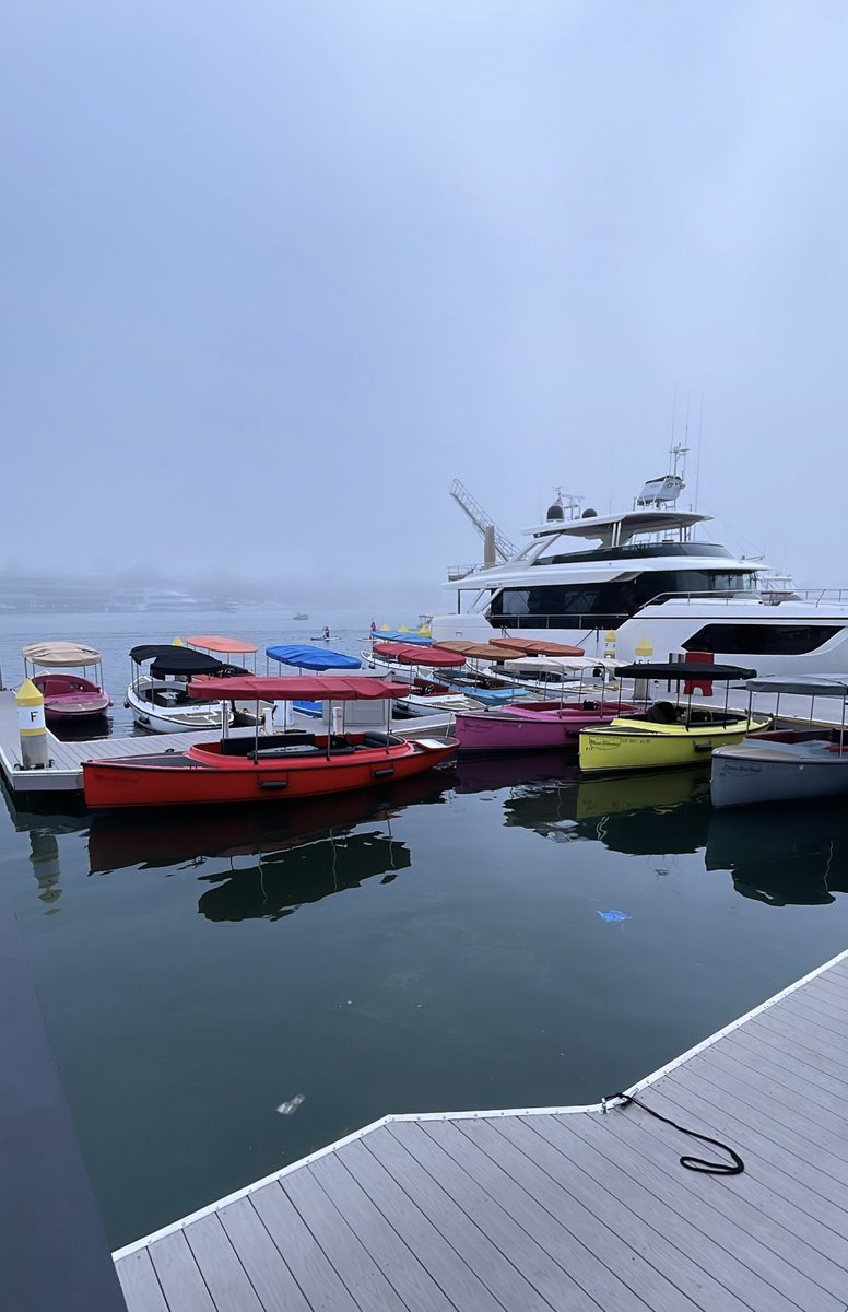 Swan 🦢 tweet media