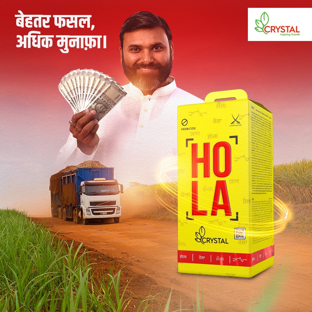 Crystal Crop tweet media