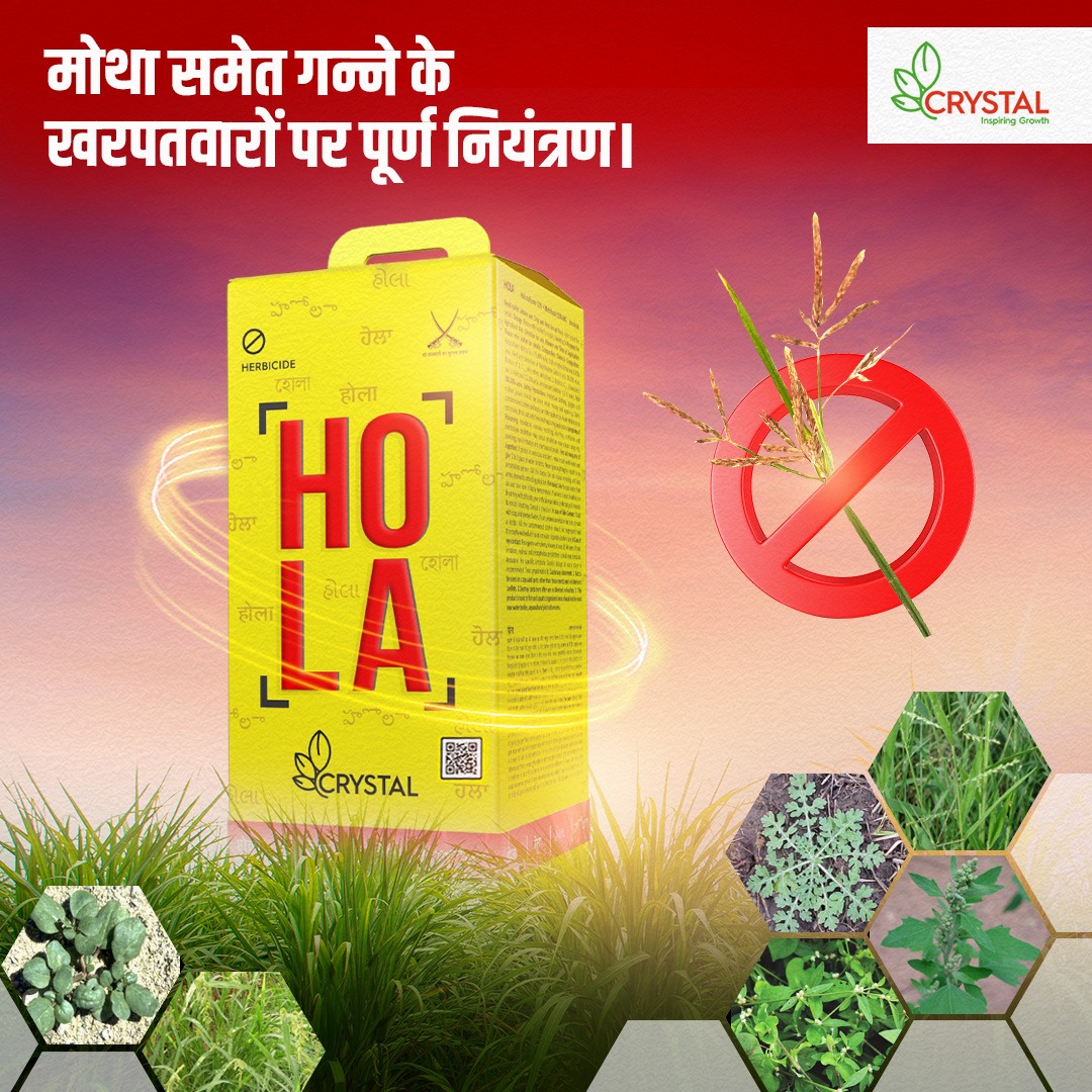 Crystal Crop tweet media