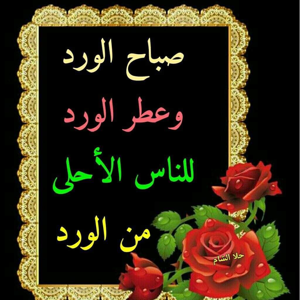 a_l_a_43's tweet photo. بعض الأشخاص لا ينبغي التفريط فيهم
         لأنهم كرذاذ الماء في يوم حار 
        كظل شجرة في درب مشمس 
          ككلمة طيبة بعد يوم متعب
        يشغلون زاوية في قلوبنا بصمت
         و نعلم بأنهم يتمنون لنا الخير
            والسعادة كما نتمنى لهم 

         💖صباح الياسمين https://t.co/tnC2tfhVug