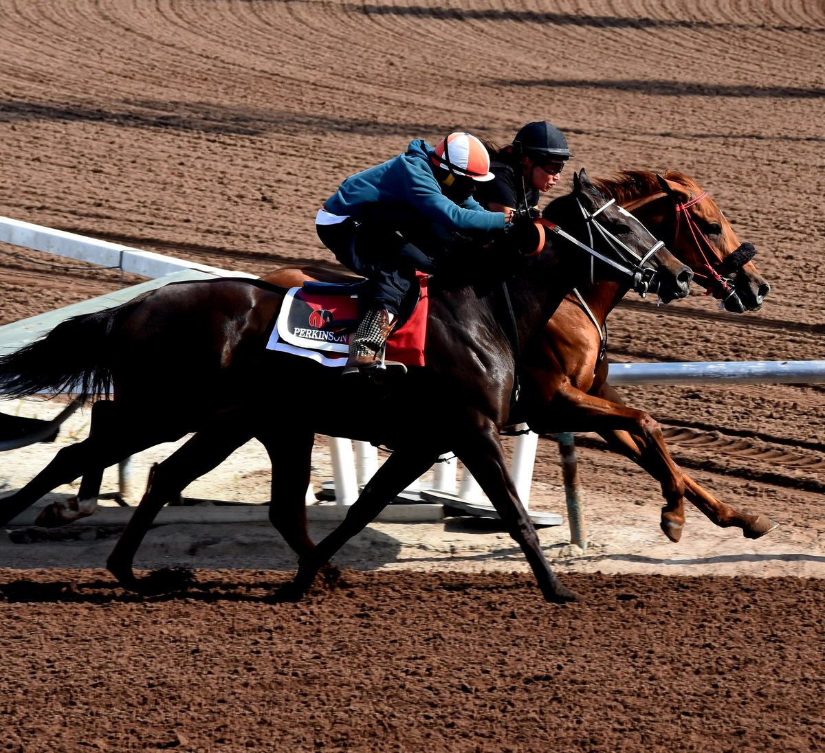 CcPerkinson's tweet photo. Never under estimate a #Perkinson still getting it done in the saddle today in prep for @CanterburyPark @racehorsereport @JMouse83 @CNGRacingStable #Ontherail #Perkinsonracingstables https://t.co/E9cbLlGQlJ