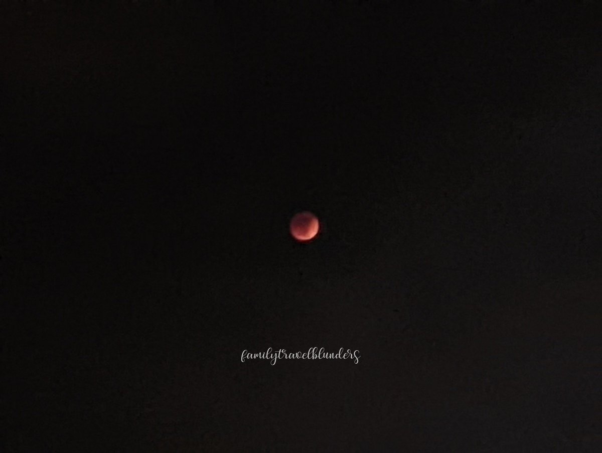 famtravblunders's tweet photo. Super Flower Blood Moon Lunar Eclipse

#lunareclipse #bloodmoon #flowermoon #natureisawesome #googlepixelpicture #lovemygooglepixel #naturephotography #lovenature #familytravelblunders

*All photos our own, no filters 📸
*See blog for blunders https://t.co/jFLp3SLFVO https://t.co/oK82CKHAtr