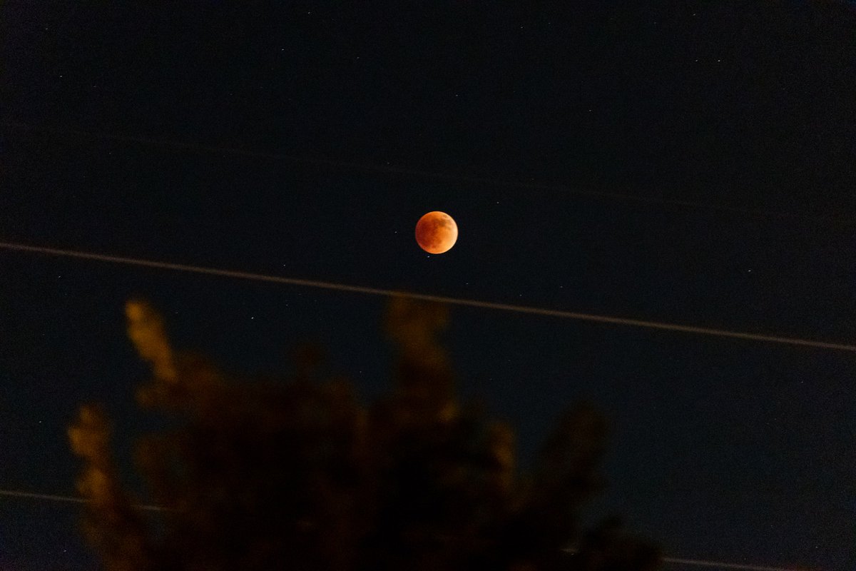 CheriseRichards's tweet photo. #lunareclipse2022 #LUNAR from my back door in Alpharetta, GA https://t.co/GK4RitXaN0