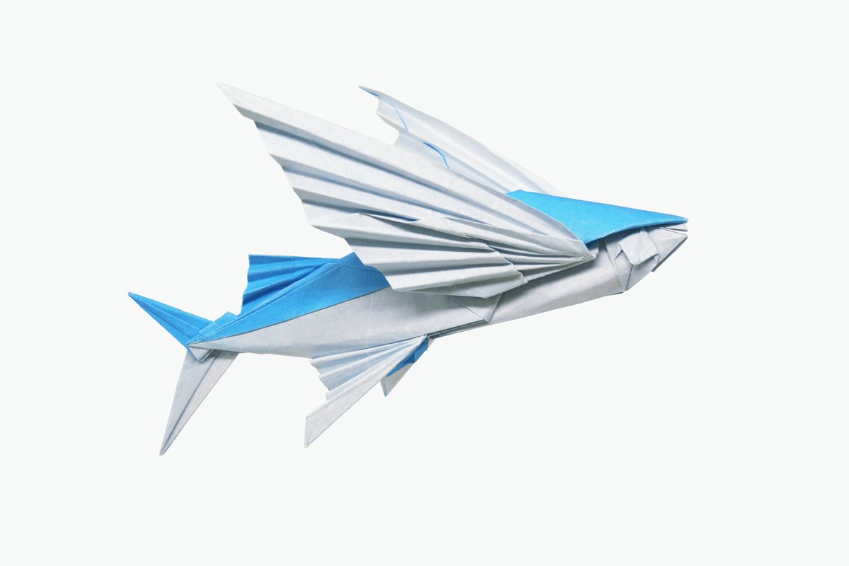 Kaiming_origami's tweet photo. Flying Fish／飞鱼
by Tu Kaiming／涂开明

new design https://t.co/BLMKapg6du