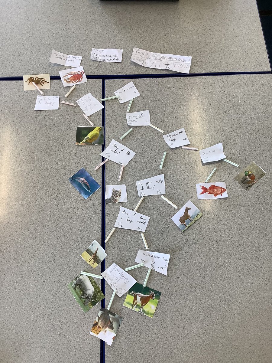 Robert Wilkinson Sch tweet media