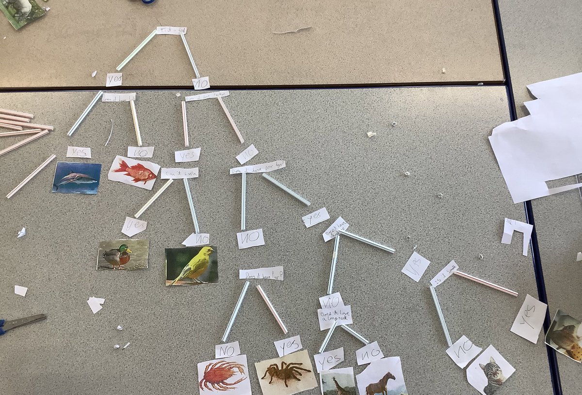 Robert Wilkinson Sch tweet media