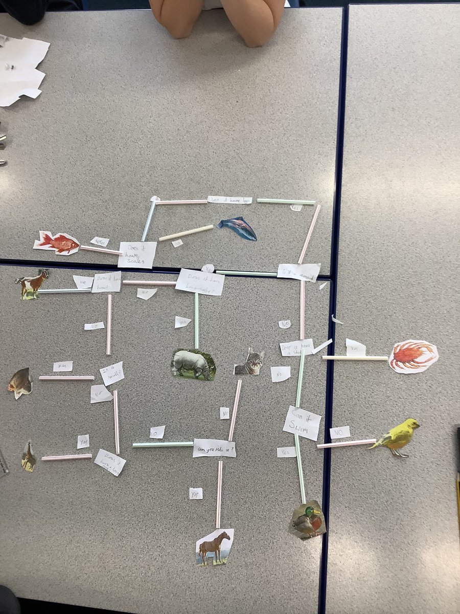 Robert Wilkinson Sch tweet media