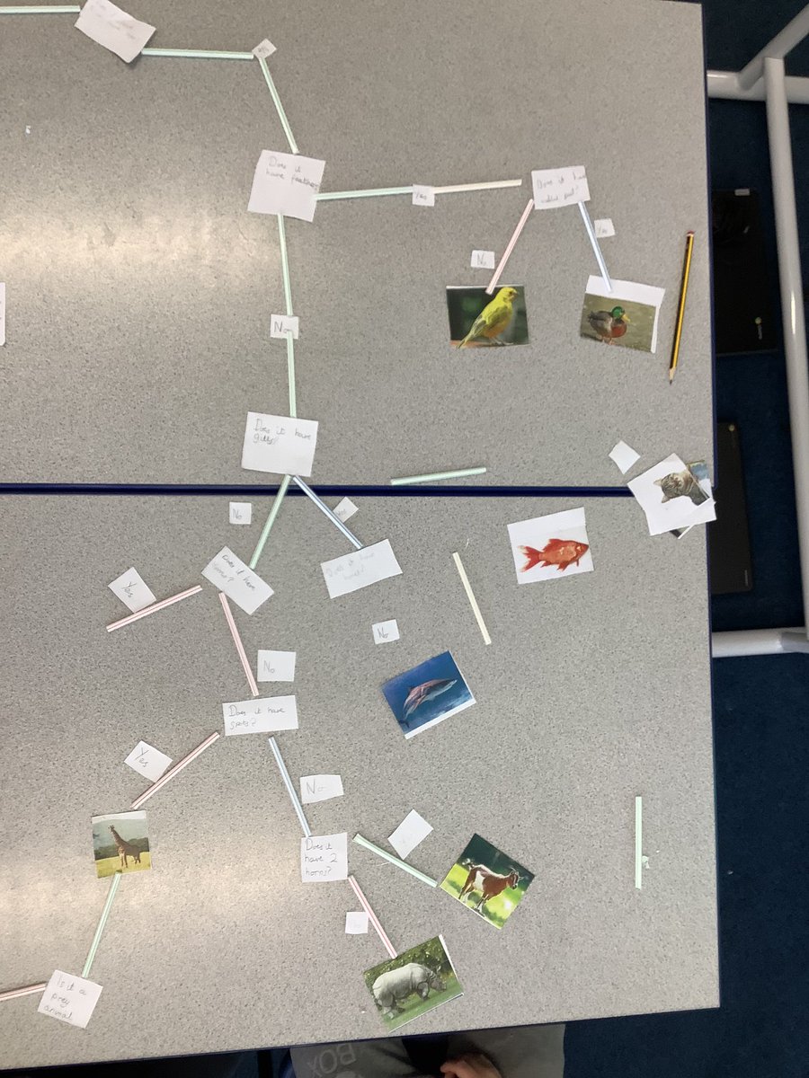 Robert Wilkinson Sch tweet media