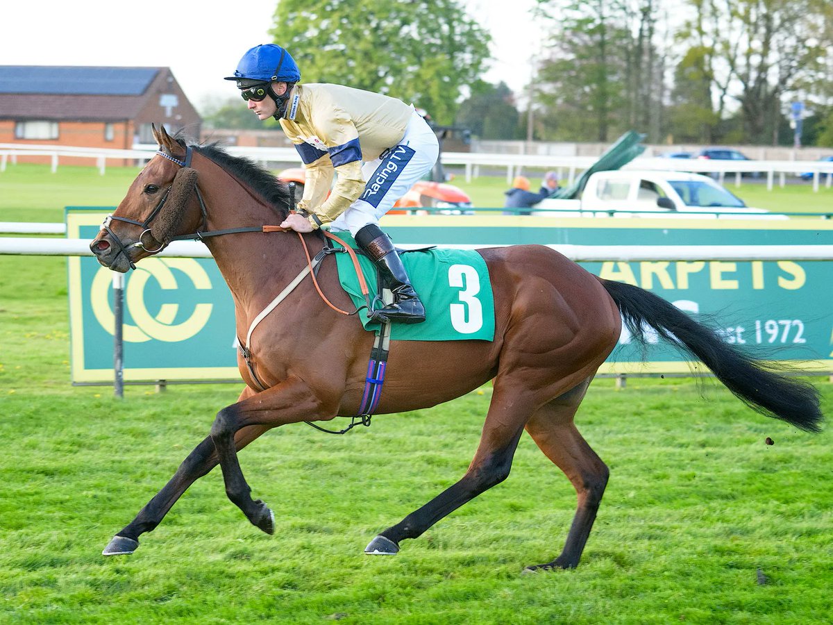 HambletonRacing's tweet photo. ⭐️Twelfth Knight⭐️ has been declared for his third career run at @GTYarmouthRaces on Wednesday for the @Archie_Watson team. He will be partnered by @HollieDoyle1 and we would like to wish his owners the very best of luck! 🏇 💙 💛 #HambletonTeam #ThirdRun #Yarmouth https://t.co/YXXQaiYZWu