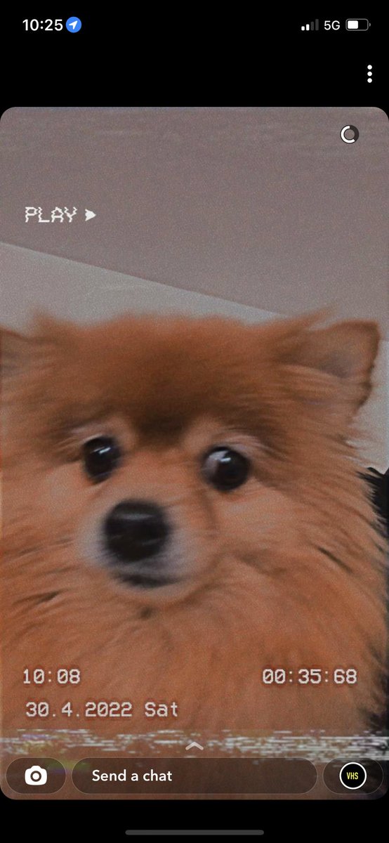 KimmycatRoz's tweet photo. She really said 👀👀 https://t.co/B24Lhuxld2