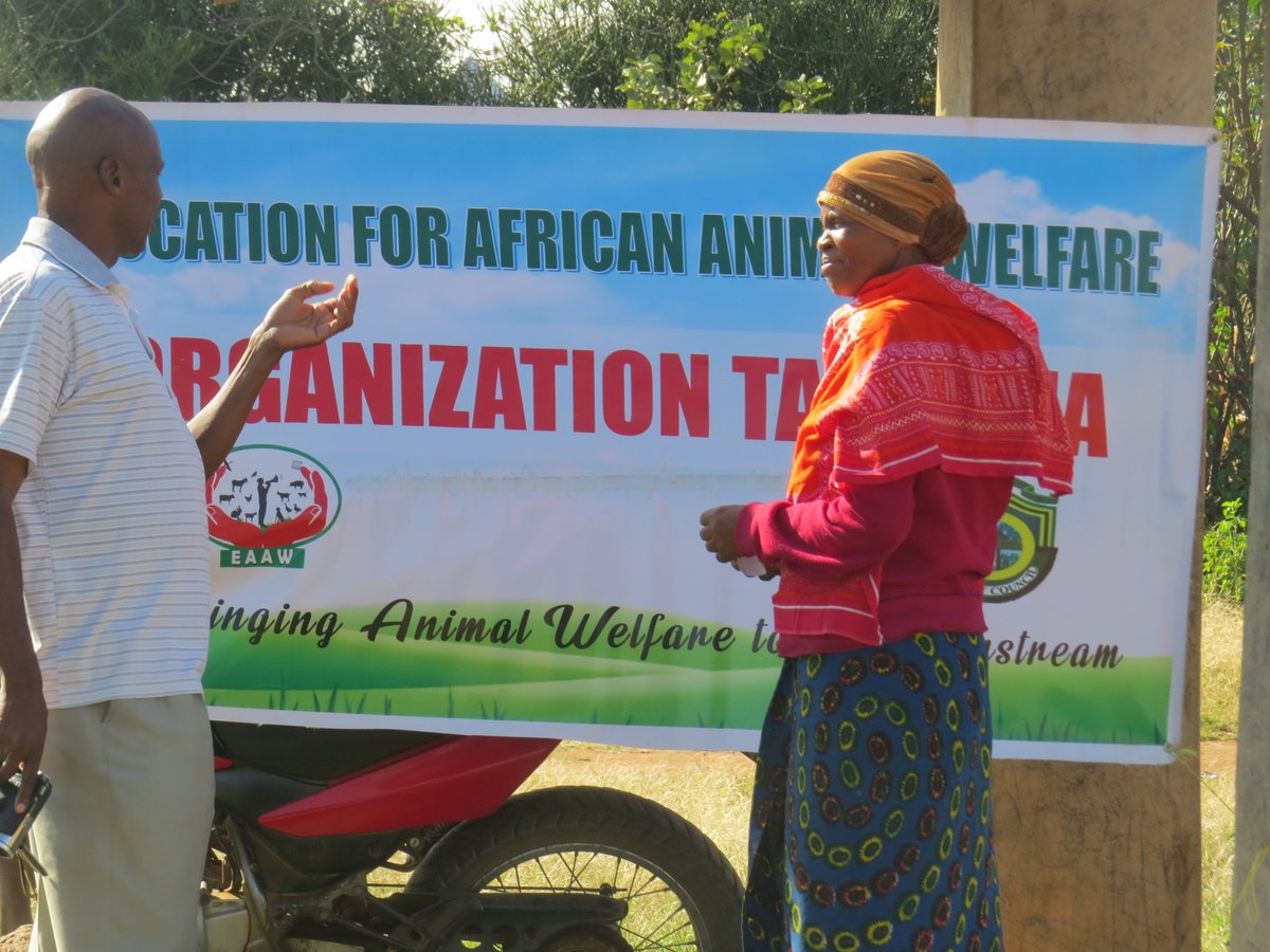EducationAAW's tweet photo. Four days for intensive anti rabies activities in Singida. 2days spent for community education and sensitisation and the same to the Pupils in Public schools so as to raise awareness to the community and children, how to be safe around the dog's.351 Dog's and 77 Cat's Vaccinated https://t.co/xI1xtXgiCY