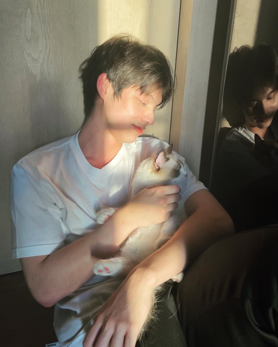 The only puss i pay attention to for now.