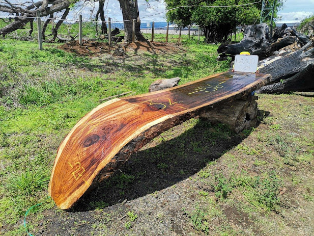 steven_colson's tweet photo. Drips. We sell Espavel, Tropical Almond Tree, and Gavilan Limon woods drips.

https://t.co/5AIrCOdEHB

#river_table #wood_slabs #parota #monkeypod #rivertableslabs #rivertable #woodworking #epoxy #epoxyresin #epoxytable #wood #resin #resinart #liveedge #epoxyart #interiordesign https://t.co/OCg85pM41f