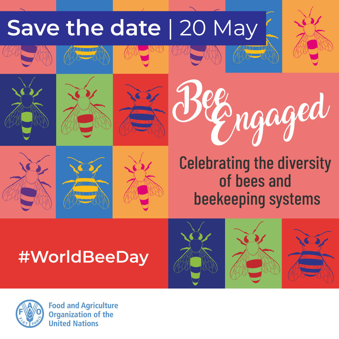 FAOLivestock's tweet photo. On this #WorldBeeDay, we will be discussing our little #FoodHeroes with bee and pollinator experts from around the world.

👉 https://t.co/wLxtYwi0CO

 🐝🌼🍯 https://t.co/EakEPokHgT