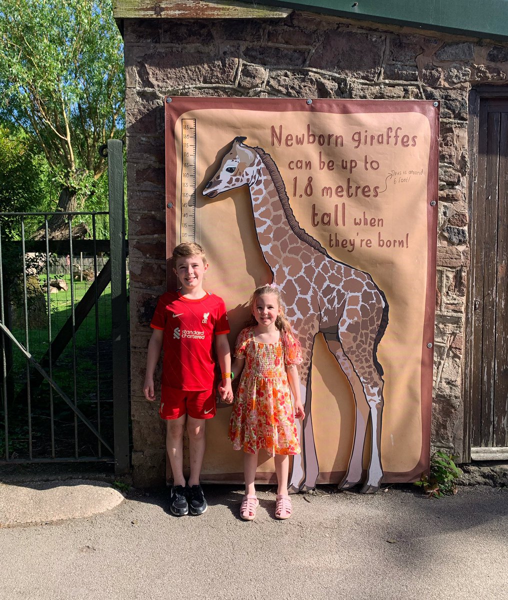 hannahmc_ox's tweet photo. 🦒🐒🐘🦁🐧 https://t.co/yibxL0VDel