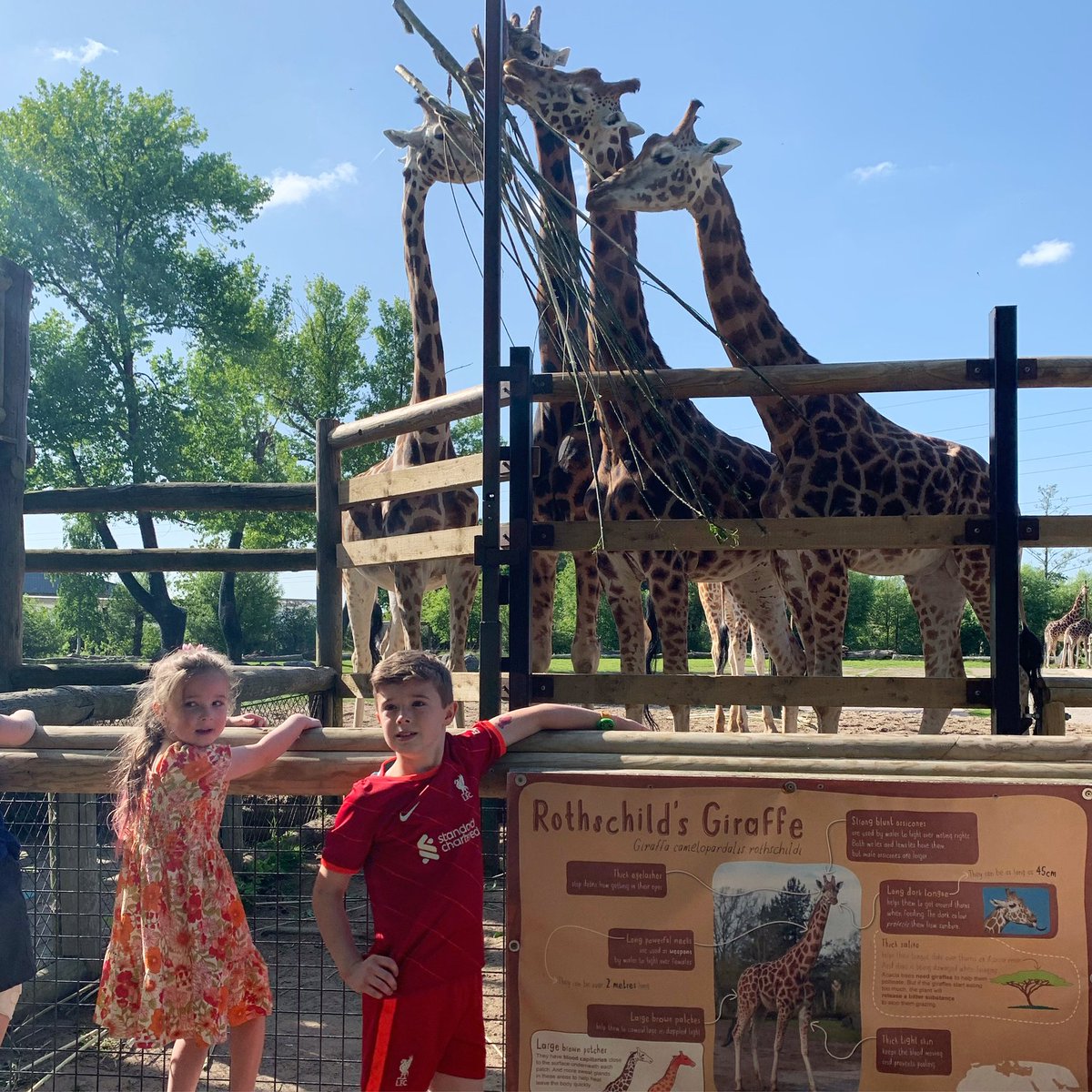 hannahmc_ox's tweet photo. 🦒🐒🐘🦁🐧 https://t.co/yibxL0VDel