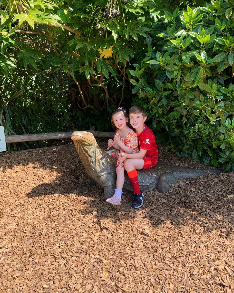 hannahmc_ox's tweet photo. 🦒🐒🐘🦁🐧 https://t.co/yibxL0VDel