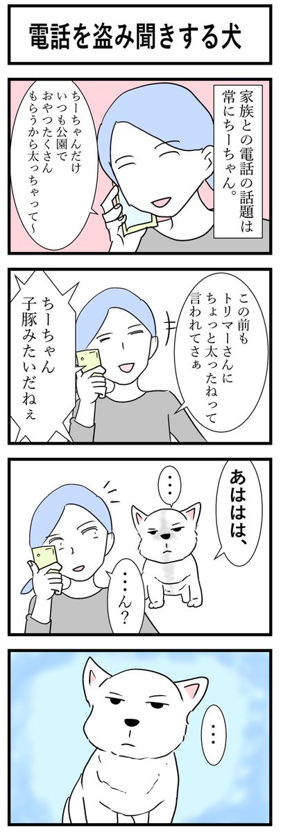 🐶犬は言葉を理解してるなと思った瞬間🐾20時からブログも更新中です。 https://t.co/dq5pNtzEPo