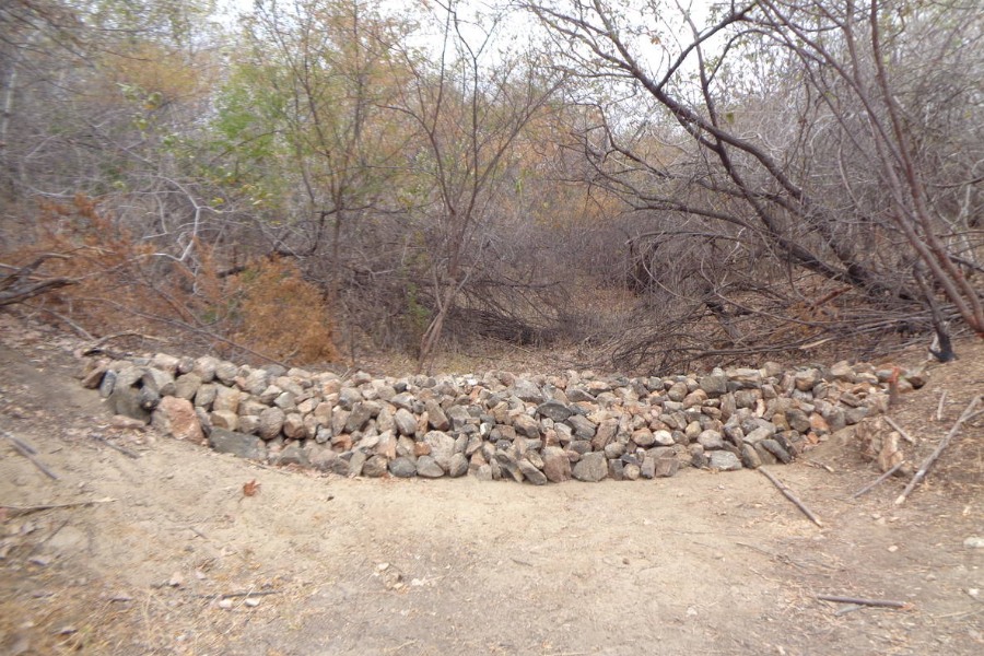 NordesteEco's tweet photo. Projeto refloresta e prepara áreas de Caatinga para receber ararinhas-azuis
Leia mais: https://t.co/CmQOtKUkdO
#ararinhaazul #areasdegradadas #bahia #caatinga #desertificacao #conservacao #curaca #psitacideos #reintroducaonanatureza #tecnologiassociais #unidadesdeconservacao https://t.co/E8oQFCfk52