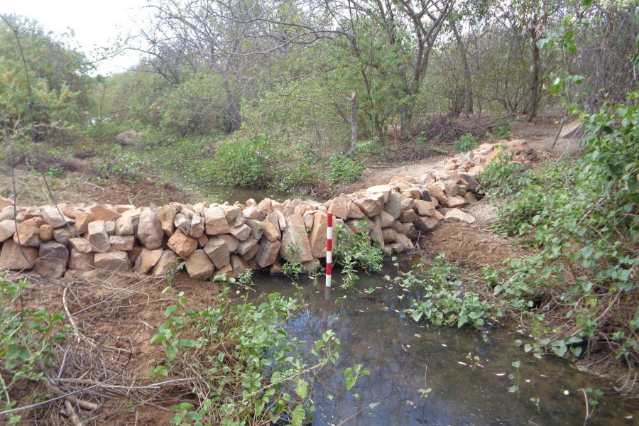 NordesteEco's tweet photo. Projeto refloresta e prepara áreas de Caatinga para receber ararinhas-azuis
Leia mais: https://t.co/CmQOtKUkdO
#ararinhaazul #areasdegradadas #bahia #caatinga #desertificacao #conservacao #curaca #psitacideos #reintroducaonanatureza #tecnologiassociais #unidadesdeconservacao https://t.co/E8oQFCfk52