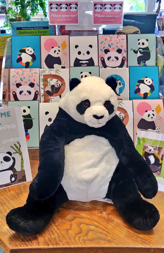 Bennieslibrary's tweet photo. Our current library competition is ...name the #Panda 🤔
🐼🐼🐼
#librarycompetition https://t.co/p4nABGzal0
