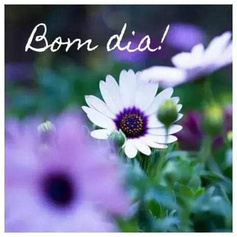 Que a gente não perca a esperança que nutre, o riso que alimenta, o abraço que aquece, a palavra que salva e o afeto que transborda. Que a gente não perca a boniteza do olhar, diante da simplicidade que é a vida.
Bom dia a tds os meus @