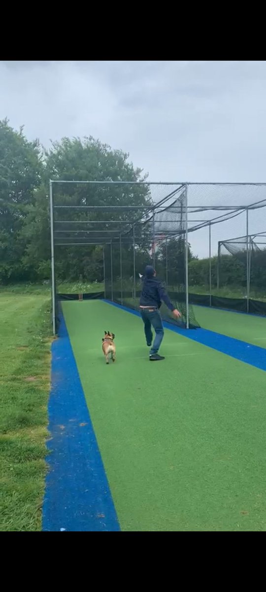 JamieGilo's tweet photo. Been a while since I did this. Still hit the top of middle & off on the 3rd practice ball! #cricket #lineandlength ๐ https://t.co/S0ri6Qqsu9