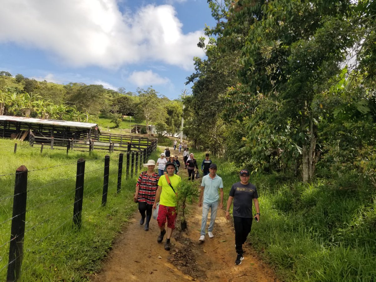 Ing. Daniel Másmela C. ® tweet media