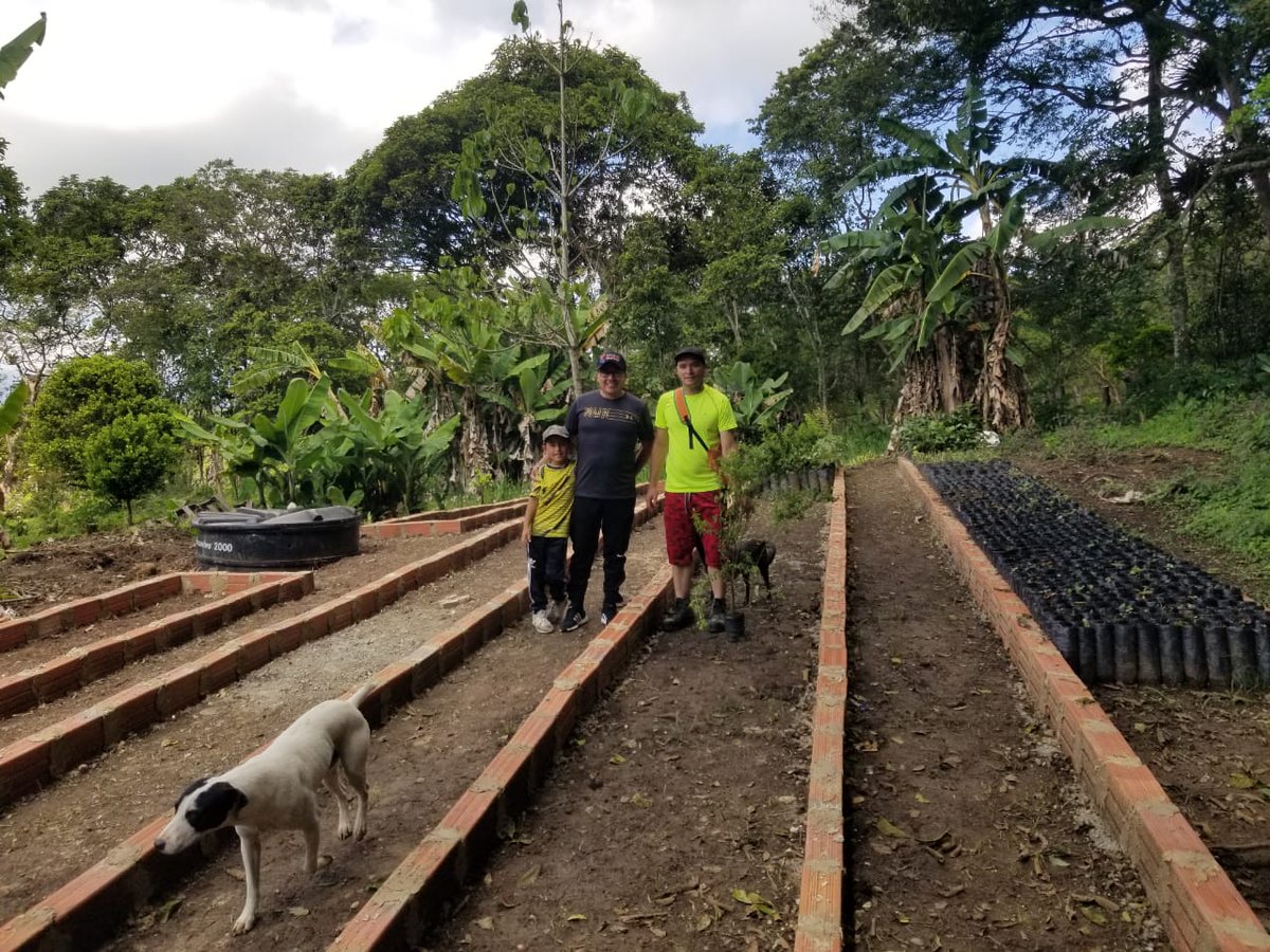 Ing. Daniel Másmela C. ® tweet media