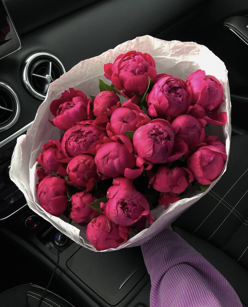 Peonies