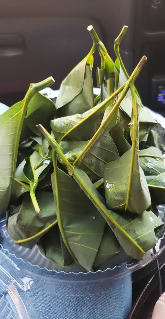 amierulfitry's tweet photo. Hi gais, saya ad open order 

🍂TAPAI PULUT DAUN GETAH 🍃

20 PCS : RM 15
50 PCS : RM 35 

🔹Dijamin manis 
🔹Sesuai utk pelbagai jenis majlis 

Delivery date: SABTU 21/5 
Delivery area Klang Valley only. 

Place ur order now 👇🏾

https://t.co/G6qdCUPT5u

Mohon RT 🙏🏻

#TapaiPulut https://t.co/WO4Mt6fQEG