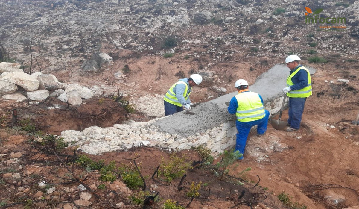 Plan_INFOCAM's tweet photo. Las tareas de restauración tras los #IIFF son fundamentales para seguir conservando el entorno y evitar su deterioro  🌳
📸 Restauración tras #IFLietor🔥 #Albacete de #julio2021 

#VocacióndeServicioPúblico https://t.co/P5YaeLcfS8