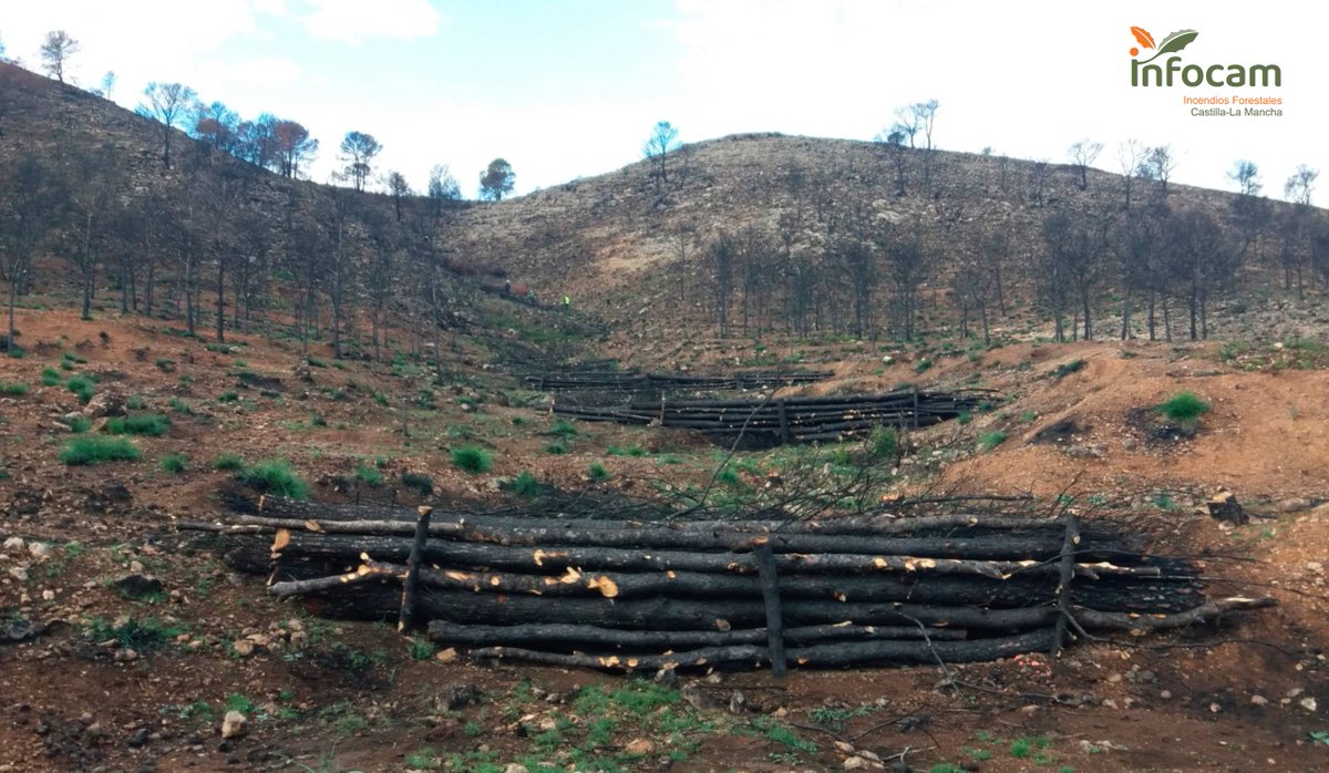 Plan_INFOCAM's tweet photo. Las tareas de restauración tras los #IIFF son fundamentales para seguir conservando el entorno y evitar su deterioro  🌳
📸 Restauración tras #IFLietor🔥 #Albacete de #julio2021 

#VocacióndeServicioPúblico https://t.co/P5YaeLcfS8