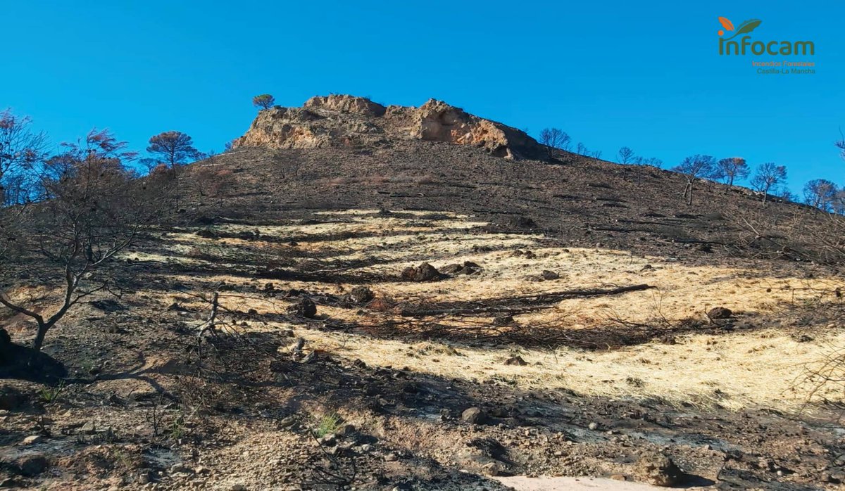 Plan_INFOCAM's tweet photo. Las tareas de restauración tras los #IIFF son fundamentales para seguir conservando el entorno y evitar su deterioro  🌳
📸 Restauración tras #IFLietor🔥 #Albacete de #julio2021 

#VocacióndeServicioPúblico https://t.co/P5YaeLcfS8
